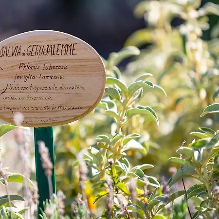 Agriturismo Il Sapore Della Luna Country house Monteprandone